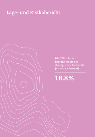 Lage- und Risikobericht Kapitelcover