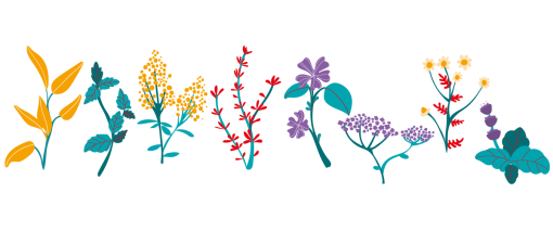 Illustration Blumen in Farbe