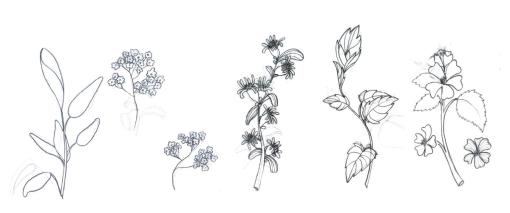 Illustration Blumen in schwarz-weiss